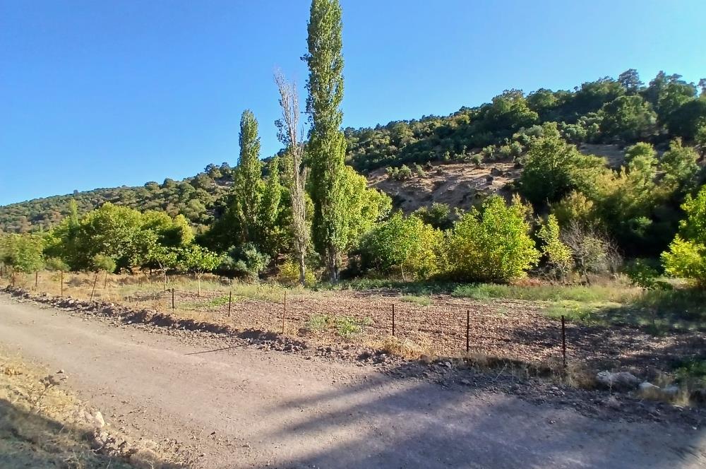 C21 LOCA BALIKESİR SARIALAN OTOYOL GİŞE YAKINI 720M2HOBİ BAHÇESİ