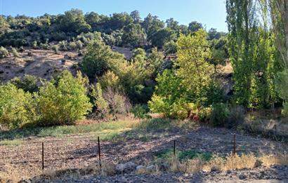 C21 LOCA BALIKESİR SARIALAN OTOYOL GİŞE YAKINI 720M2HOBİ BAHÇESİ