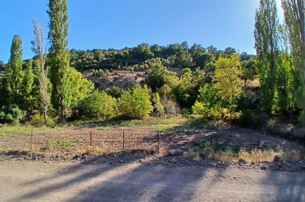 C21 LOCA BALIKESİR SARIALAN OTOYOL GİŞE YAKINI 720M2HOBİ BAHÇESİ