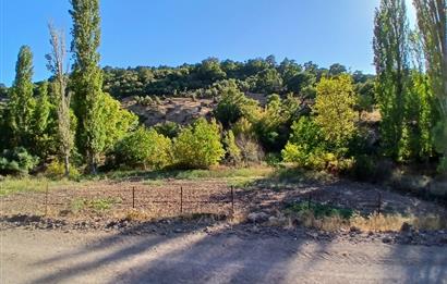 C21 LOCA BALIKESİR SARIALAN OTOYOL GİŞE YAKINI 720M2HOBİ BAHÇESİ