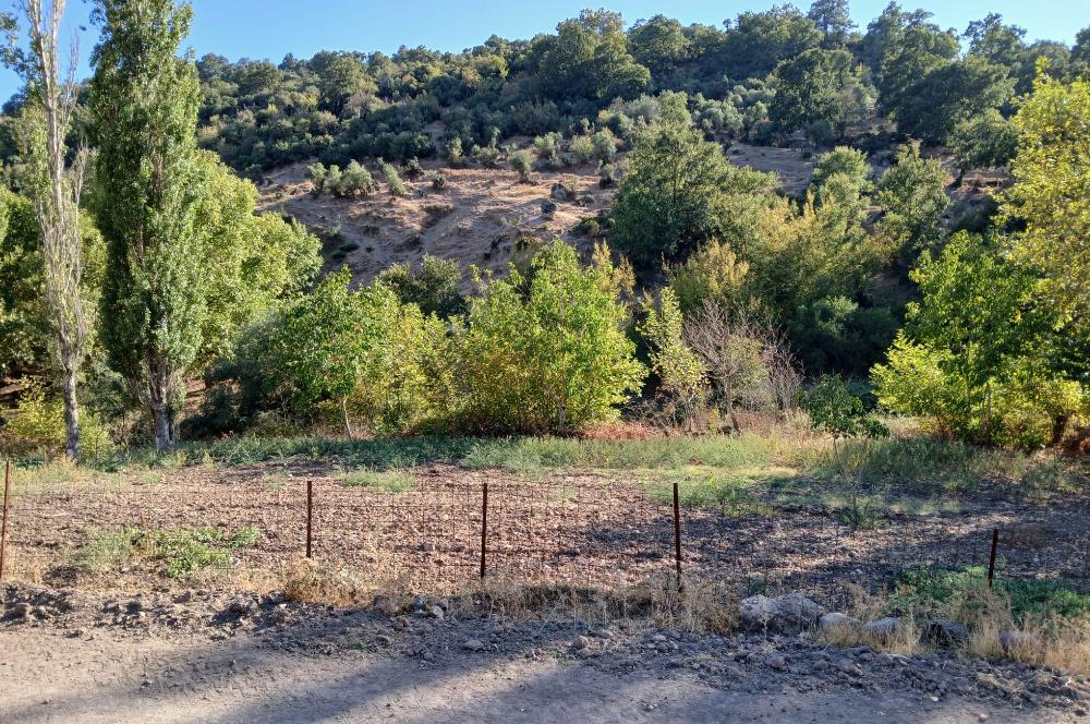 C21 LOCA BALIKESİR SARIALAN OTOYOL GİŞE YAKINI 720M2HOBİ BAHÇESİ