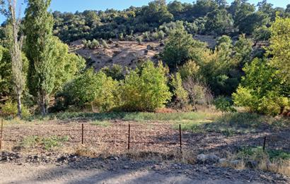 C21 LOCA BALIKESİR SARIALAN OTOYOL GİŞE YAKINI 720M2HOBİ BAHÇESİ