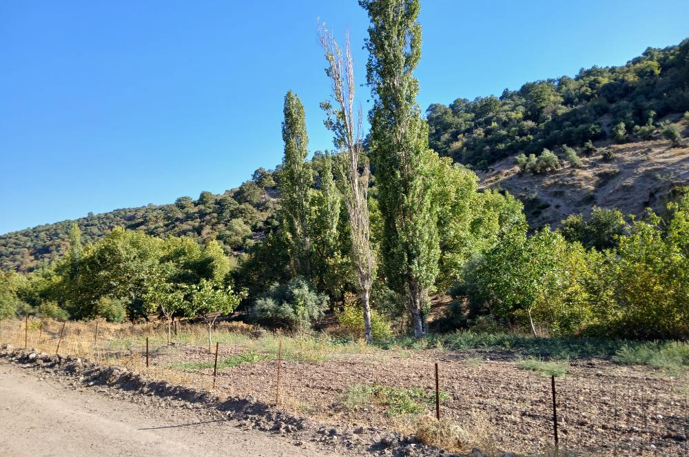 C21 LOCA BALIKESİR SARIALAN OTOYOL GİŞE YAKINI 720M2HOBİ BAHÇESİ