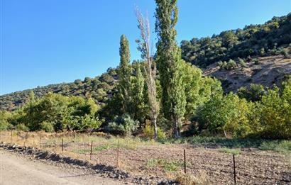 C21 LOCA BALIKESİR SARIALAN OTOYOL GİŞE YAKINI 720M2HOBİ BAHÇESİ