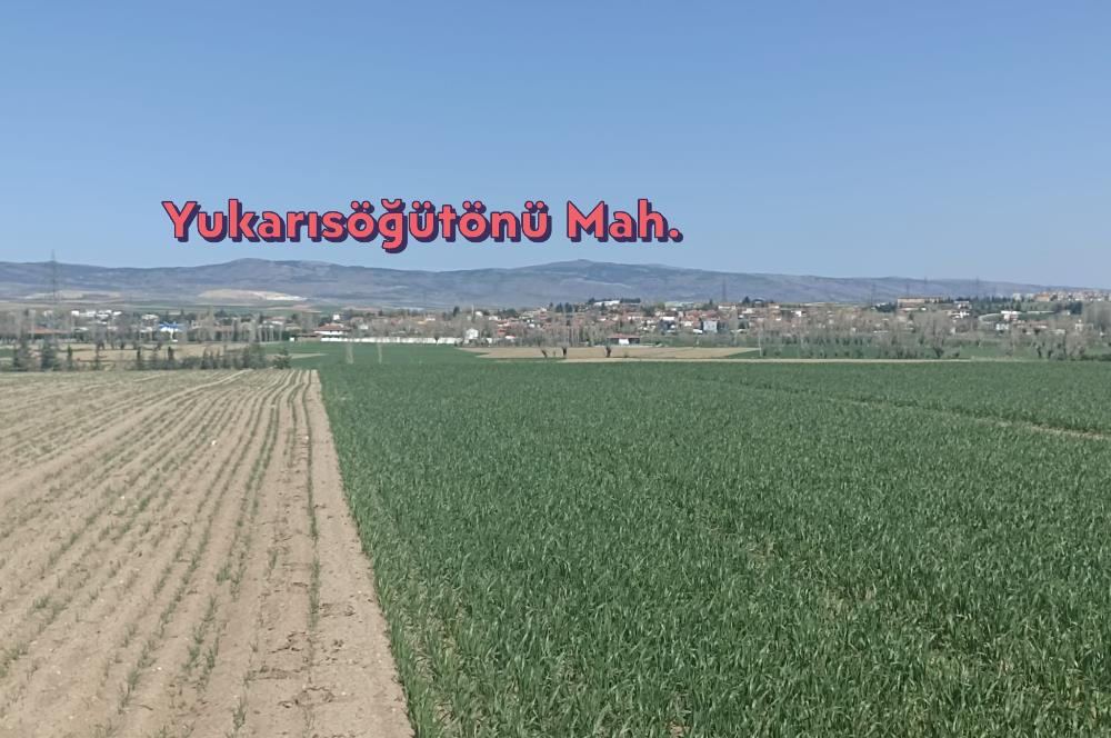 CENTURY 21 VİZYON'DAN YUKARISÖĞÜTÖNÜ  MAH. SATILIK ARAZİ 
