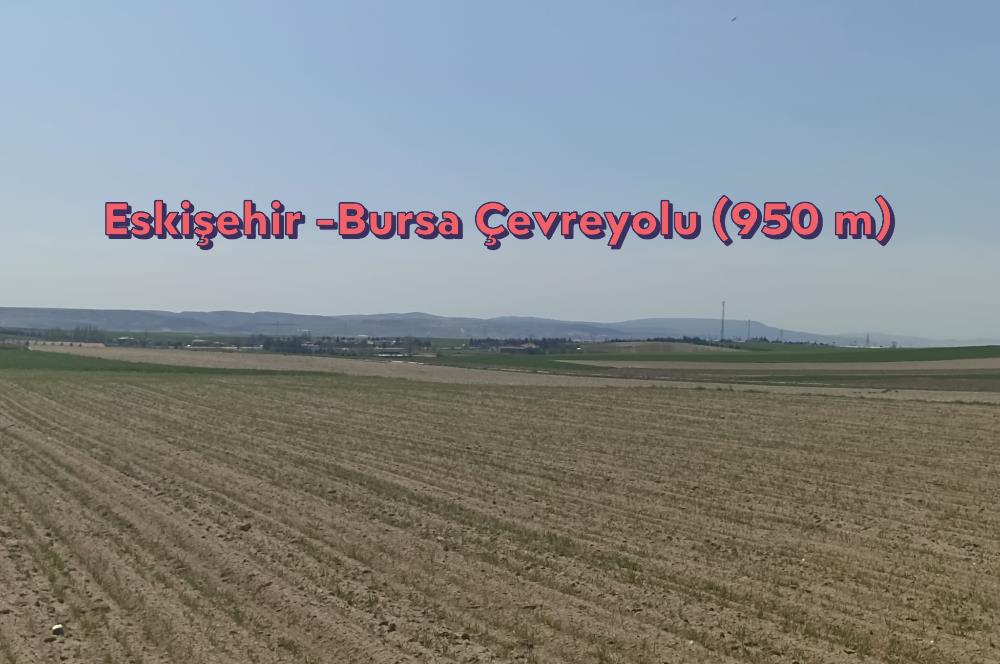 CENTURY 21 VİZYON'DAN YUKARISÖĞÜTÖNÜ  MAH. SATILIK ARAZİ 