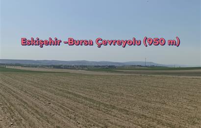 CENTURY 21 VİZYON'DAN YUKARISÖĞÜTÖNÜ  MAH. SATILIK ARAZİ 