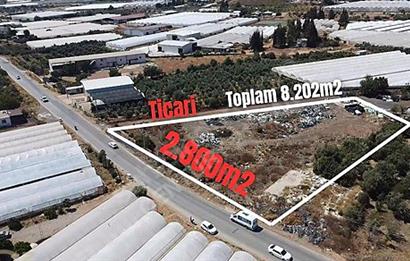 KEPEZ VARSAK 2800m2 MOR TİCARİ 3.0 EMSAL SATILIK ARAZİ 