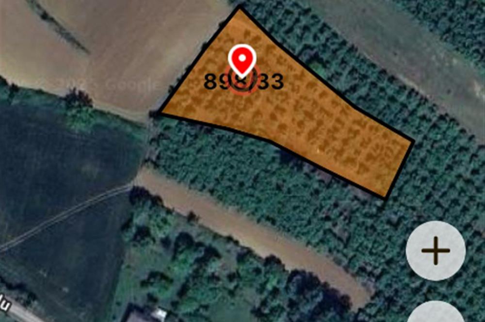 Verimli Toprak, Güçlü Yatırım! 2.391 m² Satılık Fındık Bahçesi 