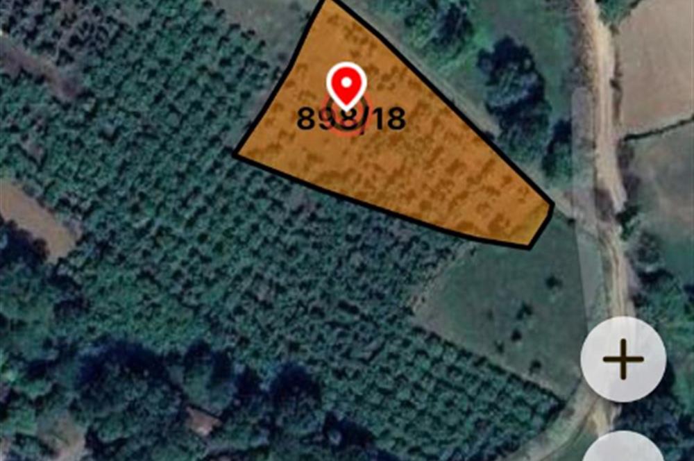 Verimli Toprak, Güçlü Yatırım! 2.391 m² Satılık Fındık Bahçesi 