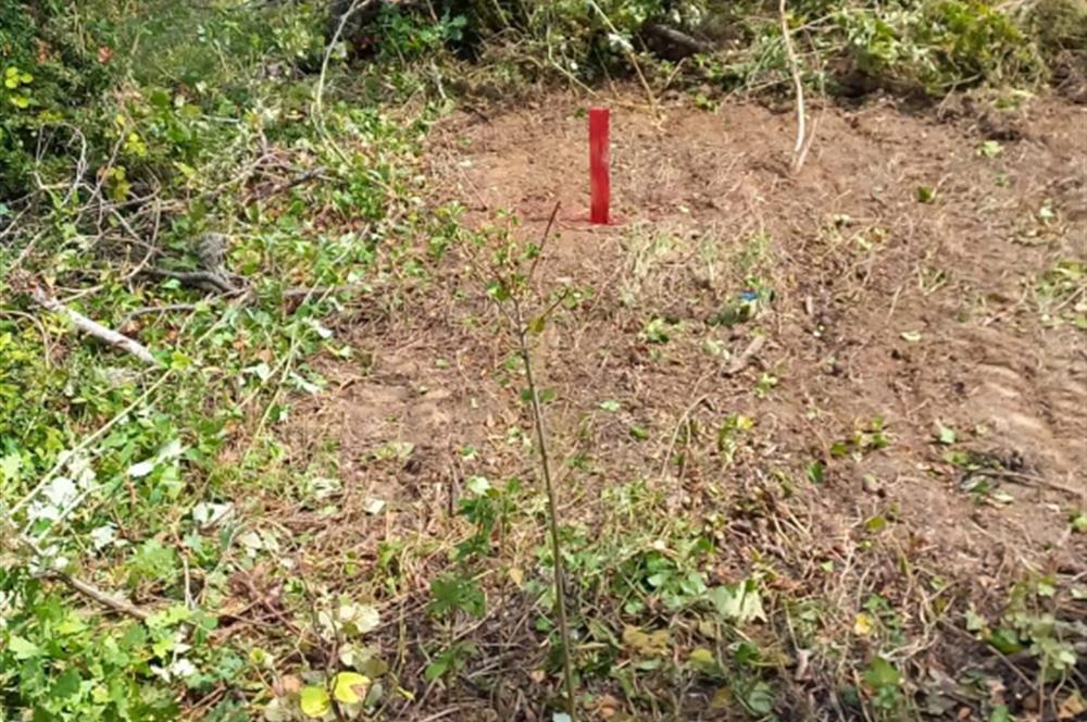 KARAMÜRSEL PAZARKÖYDE 411 M2 SATILIK ARSA
