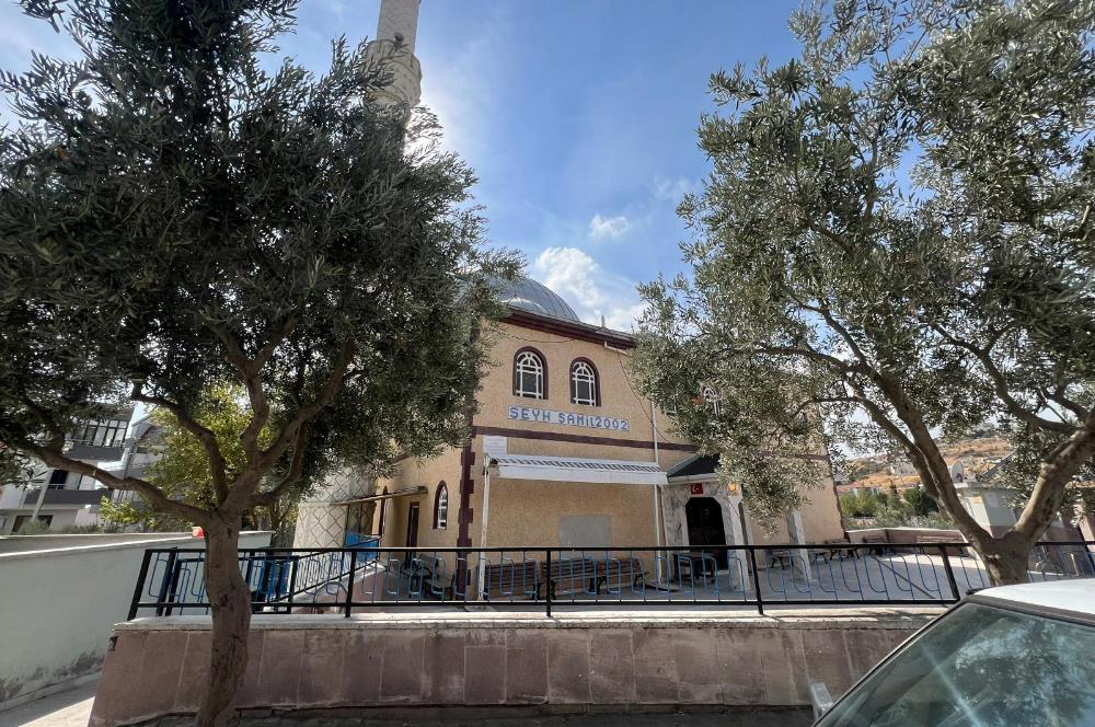 C21 BAL'DAN YILDIZ MAH. EBEVEYN BANYOLU 2+1 KİRALIK DAİRE