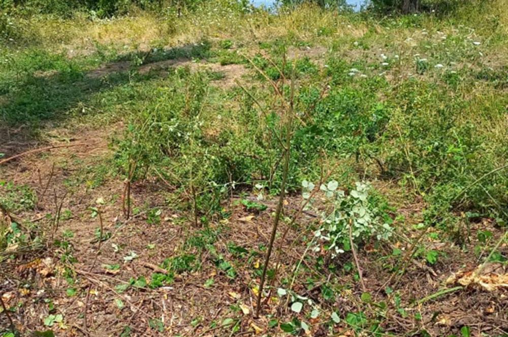 KARAMÜRSEL PAZARKÖYDE 411 M2 SATILIK ARSA