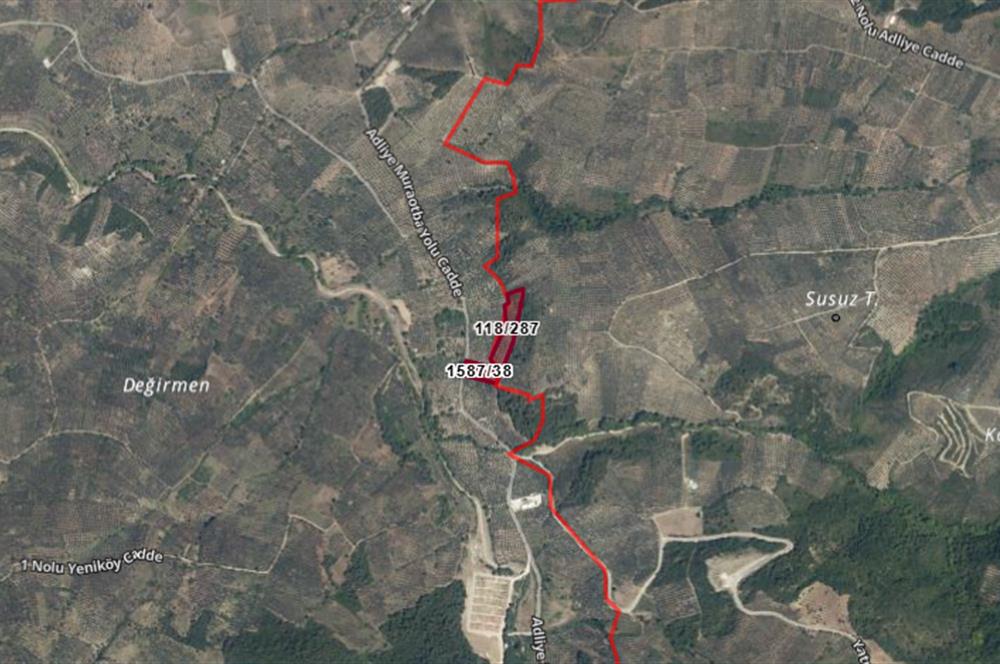 C21 Cius; Umurbeyde ve Adliye Sınırı 10,024 m2 Bakımlı Zeytinlik