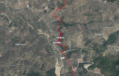 C21 Cius; Umurbeyde ve Adliye Sınırı 10,024 m2 Bakımlı Zeytinlik