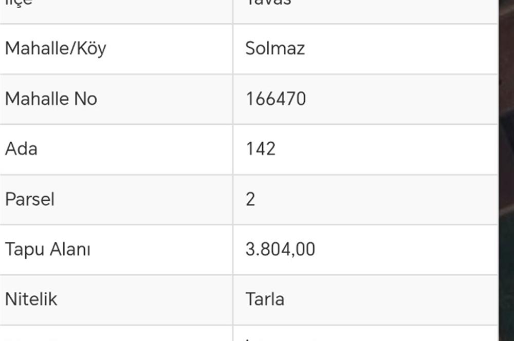 Tavas Solmaz Mahallesinde Satılık Tarla 