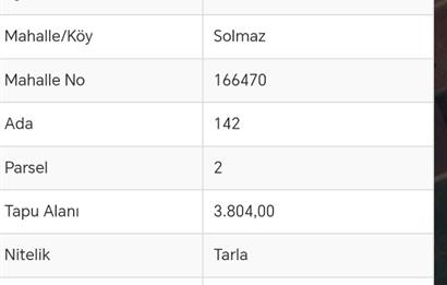 Tavas Solmaz Mahallesinde Satılık Tarla 