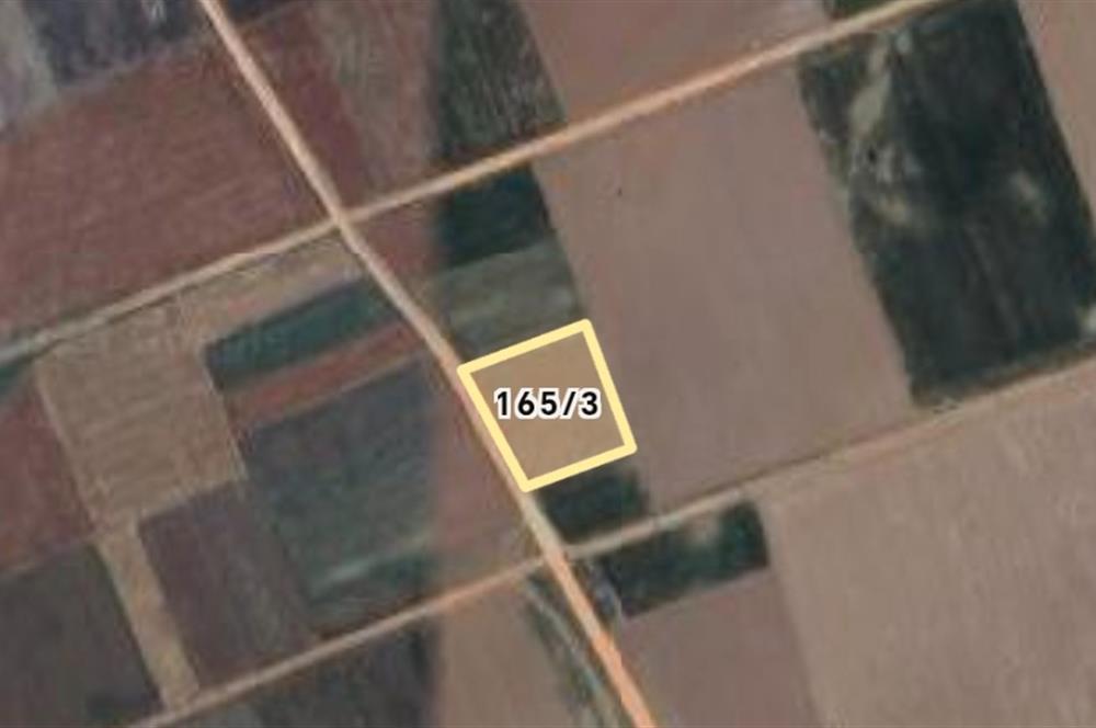 Tavas Solmaz Mahallesinde Satılık Tarla 