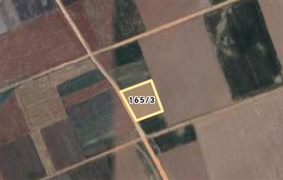 Tavas Solmaz Mahallesinde Satılık Tarla 
