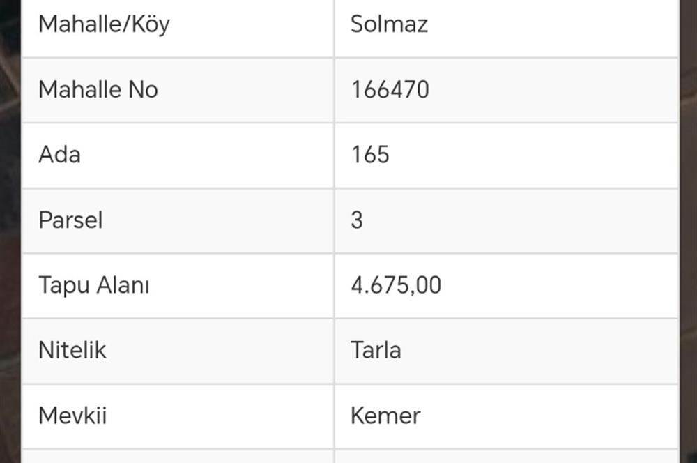 Tavas Solmaz Mahallesinde Satılık Tarla 
