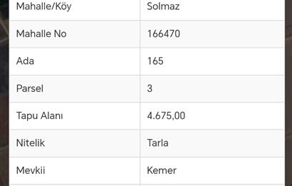 Tavas Solmaz Mahallesinde Satılık Tarla 