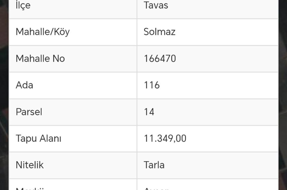 Tavas Solmaz Mahallesinde Satılık Tarla 