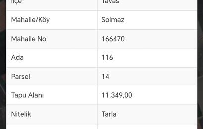 Tavas Solmaz Mahallesinde Satılık Tarla 