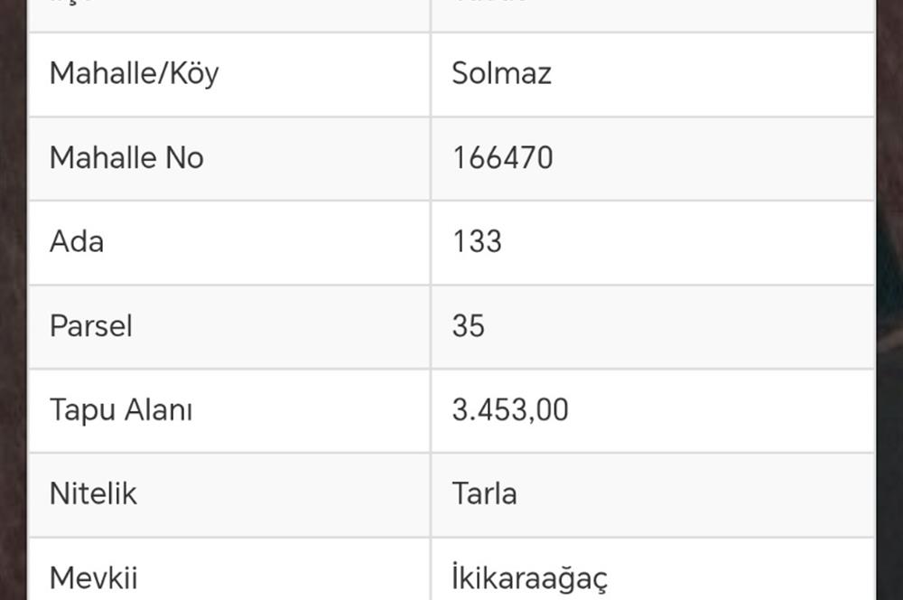 Tavas Solmaz Mahallesinde Satılık Tarla 