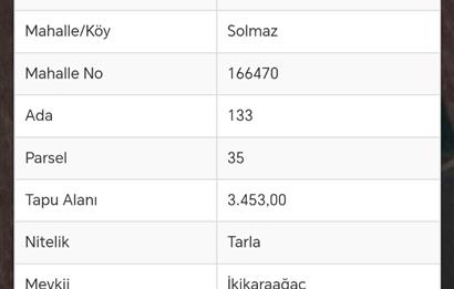 Tavas Solmaz Mahallesinde Satılık Tarla 