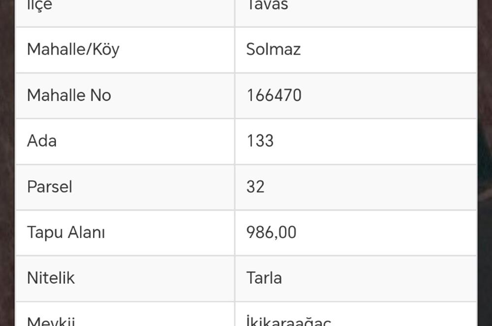 Tavas Solmaz Mahallesinde Satılık Tarla 