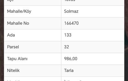 Tavas Solmaz Mahallesinde Satılık Tarla 