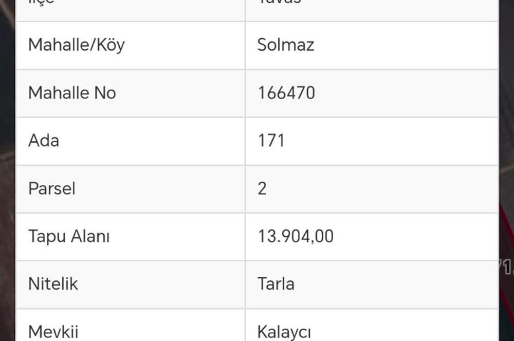 Tavas Solmaz Mahallesinde Satılık Tarla 