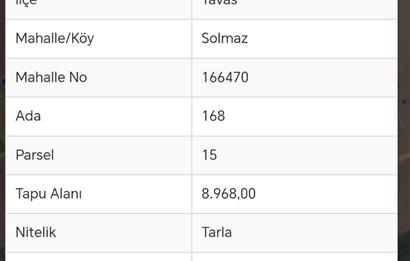 Tavas Solmaz Mahallesinde Satılık Tarla 