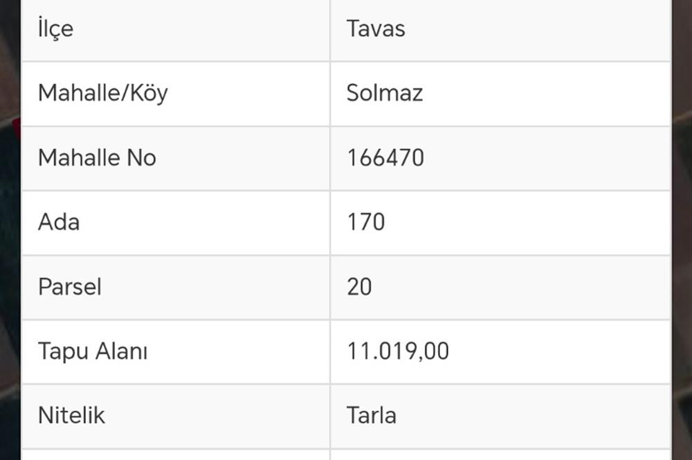 Tavas Solmaz Mahallesinde Satılık Tarla 