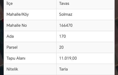 Tavas Solmaz Mahallesinde Satılık Tarla 