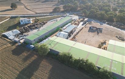 C21 BAL'DAN 21.734 M2 ARSA// 4025 m2 KAPALI ALANI OLAN SATILIK FABRİKA