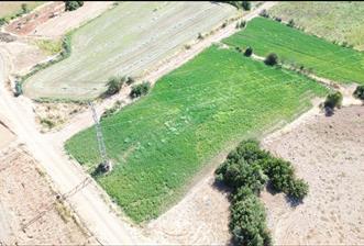 Century21 Net'ten Beyağaç'ta 4900 m2 Sulak Arazi