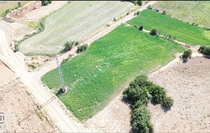 Century21 Net'ten Beyağaç'ta 4900 m2 Sulak Arazi
