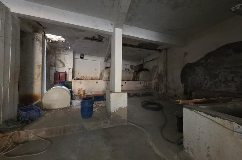 C21 Cius; Umurbey Merkezde Satılık Zeytin Mağazası Dükkan
