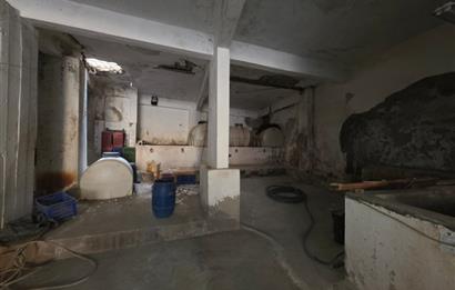 C21 Cius; Umurbey Merkezde Satılık Zeytin Mağazası Dükkan