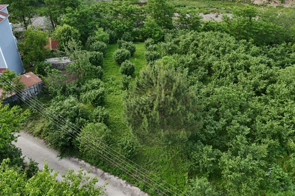Century 21'den Kurtulmuşta Satılık Fırsat Arazi 