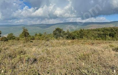 C21 Cius; Bursa/Gemlik Haydariye Köyünde 9.077 M2 Satılık Tarla