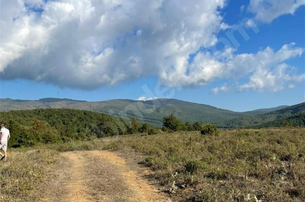 C21 Cius; Bursa/Gemlik Haydariye Köyünde 9.077 M2 Satılık Tarla