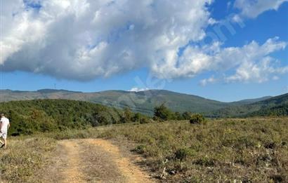 C21 Cius; Bursa/Gemlik Haydariye Köyünde 9.077 M2 Satılık Tarla