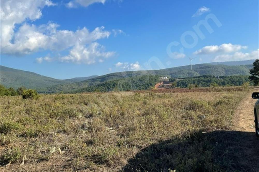 C21 Cius; Bursa/Gemlik Haydariye Köyünde 9.077 M2 Satılık Tarla
