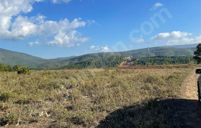 C21 Cius; Bursa/Gemlik Haydariye Köyünde 9.077 M2 Satılık Tarla