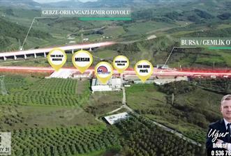 C21 Cius; Bursa Yalova Yoluna 200 m. Ticari İmar Sınırında Zeyt.
