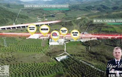 C21 Cius; Bursa Yalova Yoluna 200 m. Ticari İmar Sınırında Zeyt.