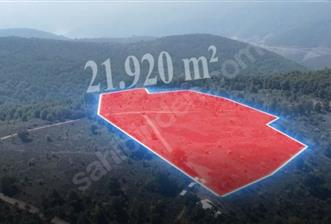 C21 Cius; Bursa/Gemlik Haydariye Köyünde 21.920 M2 Satılık Tarla