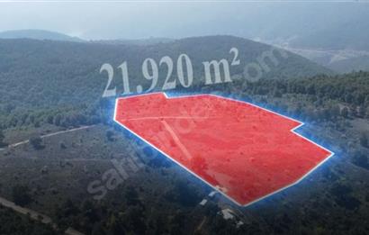 C21 Cius; Bursa/Gemlik Haydariye Köyünde 21.920 M2 Satılık Tarla